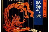 諸真圣胎神氣訣（上下冊）pdf電子書 電子版下載百度網(wǎng)盤資源下載