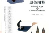 《中國黑螺原色圖鑒》pdf下載 電子書電子版高清網(wǎng)盤資源下載