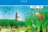 教科版小學(xué)科學(xué)六年級(jí)下冊(cè)電子課本教材(義務(wù)教育教科書)