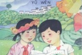 1995老課本 80后90后小學(xué)語(yǔ)文老課本第八冊(cè)PDF版