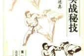 古傳實戰(zhàn)秘技-峨嵋拳述真-董如軍pdf電子書 電子版下載百度網(wǎng)盤資源下載
