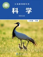 小學(xué)科學(xué)電子課本  第18張