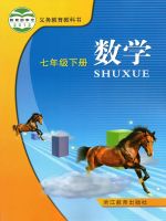 初中數(shù)學(xué)電子課本目錄  第42張
