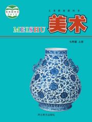 初中美術(shù)電子課本導(dǎo)航  第33張