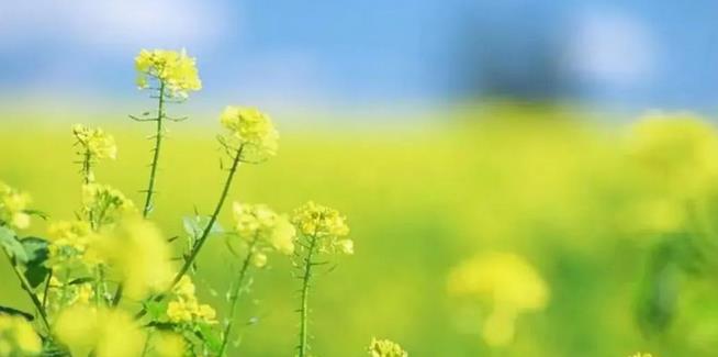 一二三四五六年級班主任工作總結(jié) 