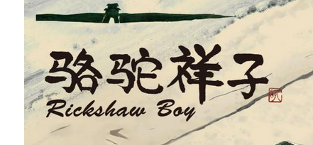 《駱駝祥子》名著閱讀課件  圈點(diǎn)與批注