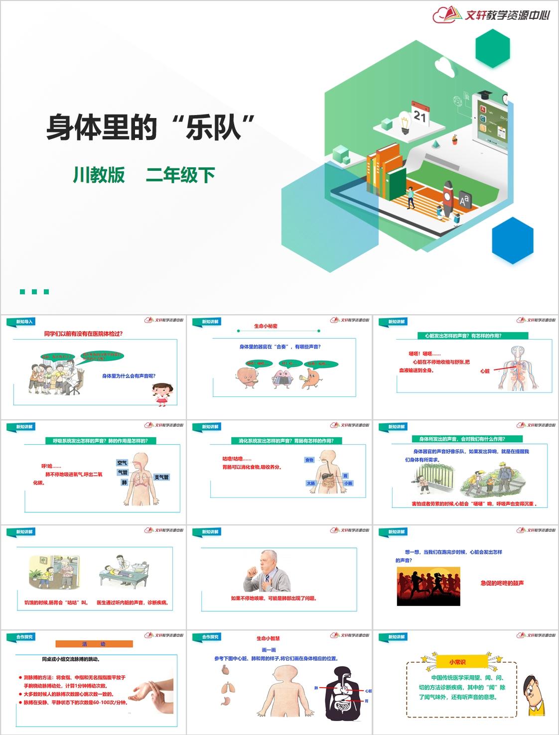 二年級(jí)下冊(cè)生命生態(tài)安全全冊(cè)課件+教案  第4張