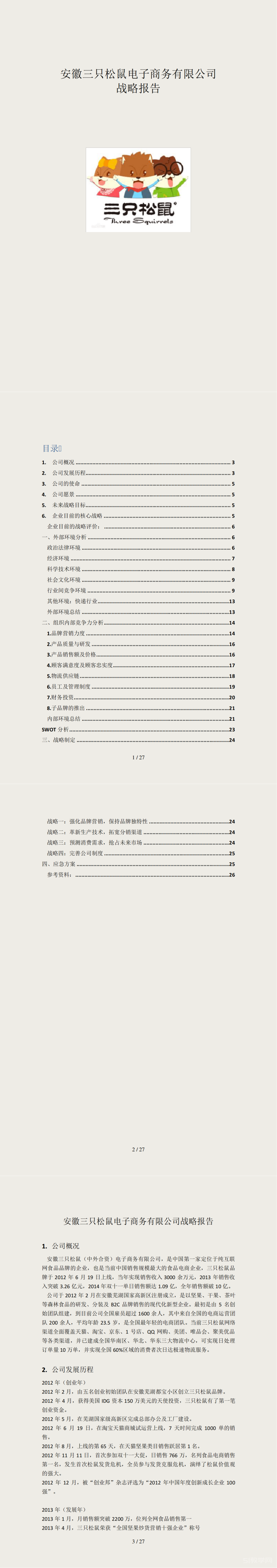 安徽三只松鼠電子商務(wù)有限公司 戰(zhàn)略報(bào)告  第1張