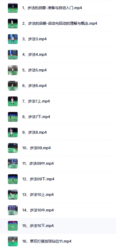 劉輝羽毛球最新最全網(wǎng)課資源百度云下載  第3張