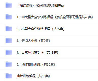 最新訓(xùn)犬資料視頻教程課程(全套)網(wǎng)盤下載 犬道文化家庭健康護(hù)理和美容教程下載 第1張 最新訓(xùn)犬資料視頻教程課程(全套)網(wǎng)盤下載 犬道文化家庭健康護(hù)理和美容教程下載 第1張