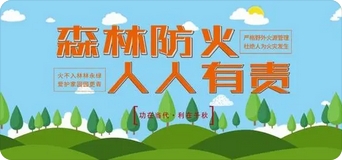 森林防滅火安全教育主題班會(huì)教案（最新精選版16篇）  第1張