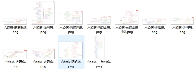 胡希恕傷寒論講座講義全文 經(jīng)方地圖 PDF電子版書籍資源下載  第2張