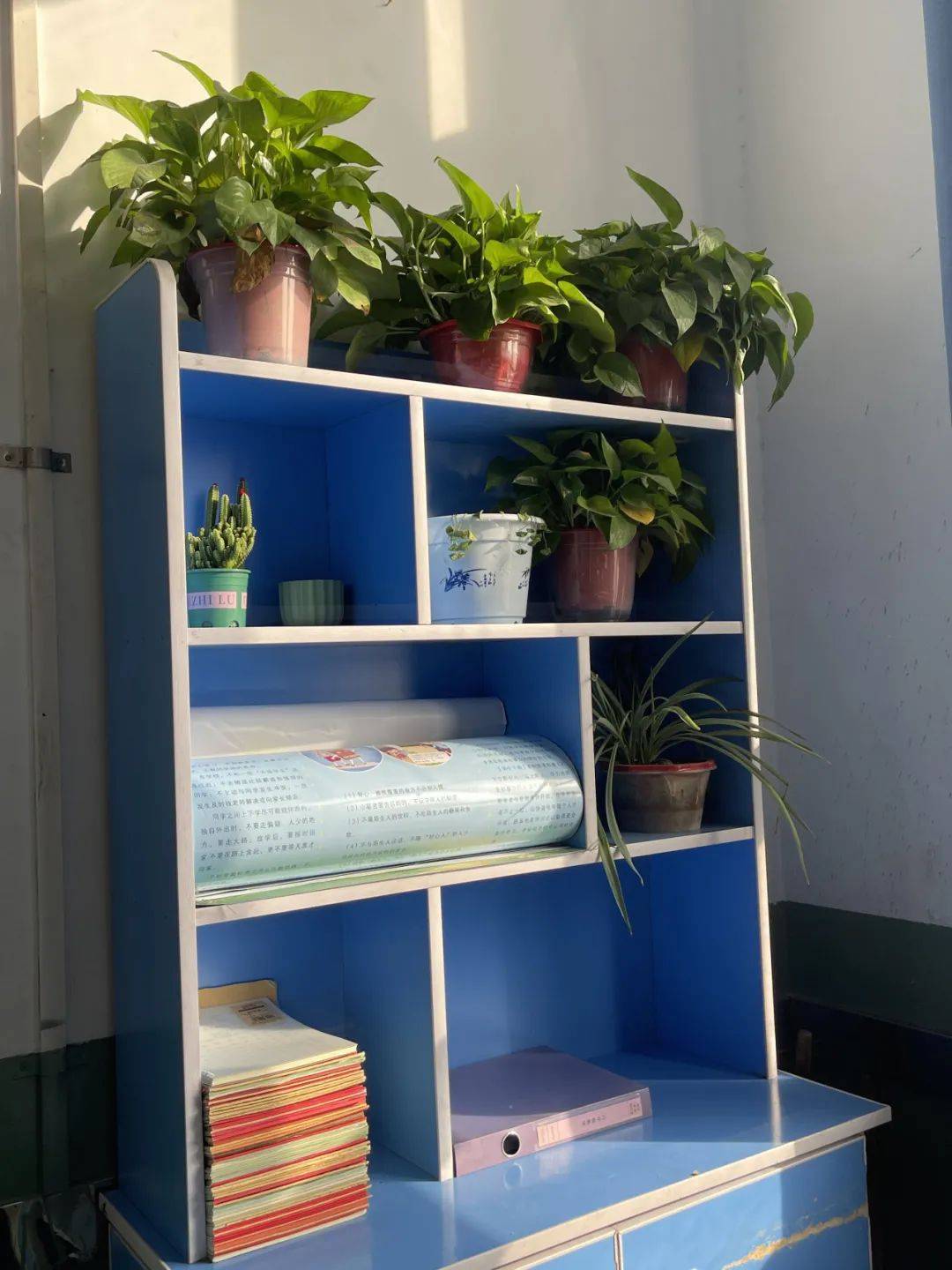 二年級(jí)班主任精心制作PPT，見證孩子們的顯著進(jìn)步與成長(zhǎng)  第1張