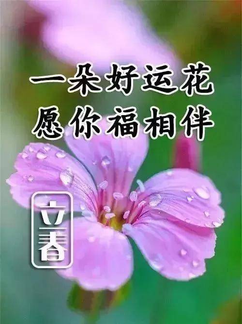 班主任金潔：以愛(ài)心與關(guān)懷，如春日暖陽(yáng)般溫暖學(xué)生成長(zhǎng)之路  第1張
