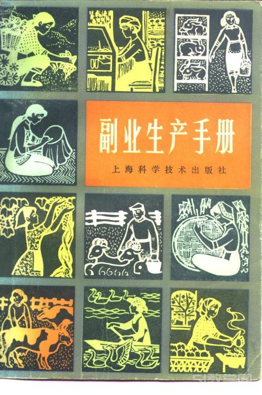 《副業(yè)生產(chǎn)手冊(cè)》PDF電子書電子版百度網(wǎng)盤資源下載  第1張