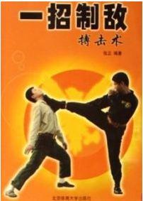 《一招制敵搏擊術(shù)》電子書pdf下載 電子書電子版網(wǎng)盤資源下載  第1張