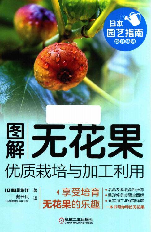 《圖解無花果優(yōu)質(zhì)栽培與加工利用》pdf電子版電子書資源下載 第1張 《圖解無花果優(yōu)質(zhì)栽培與加工利用》pdf電子版電子書資源下載 第1張